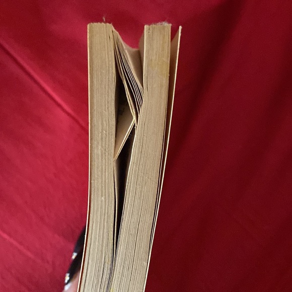 The Catcher In The Rye - Picture 2 of 4